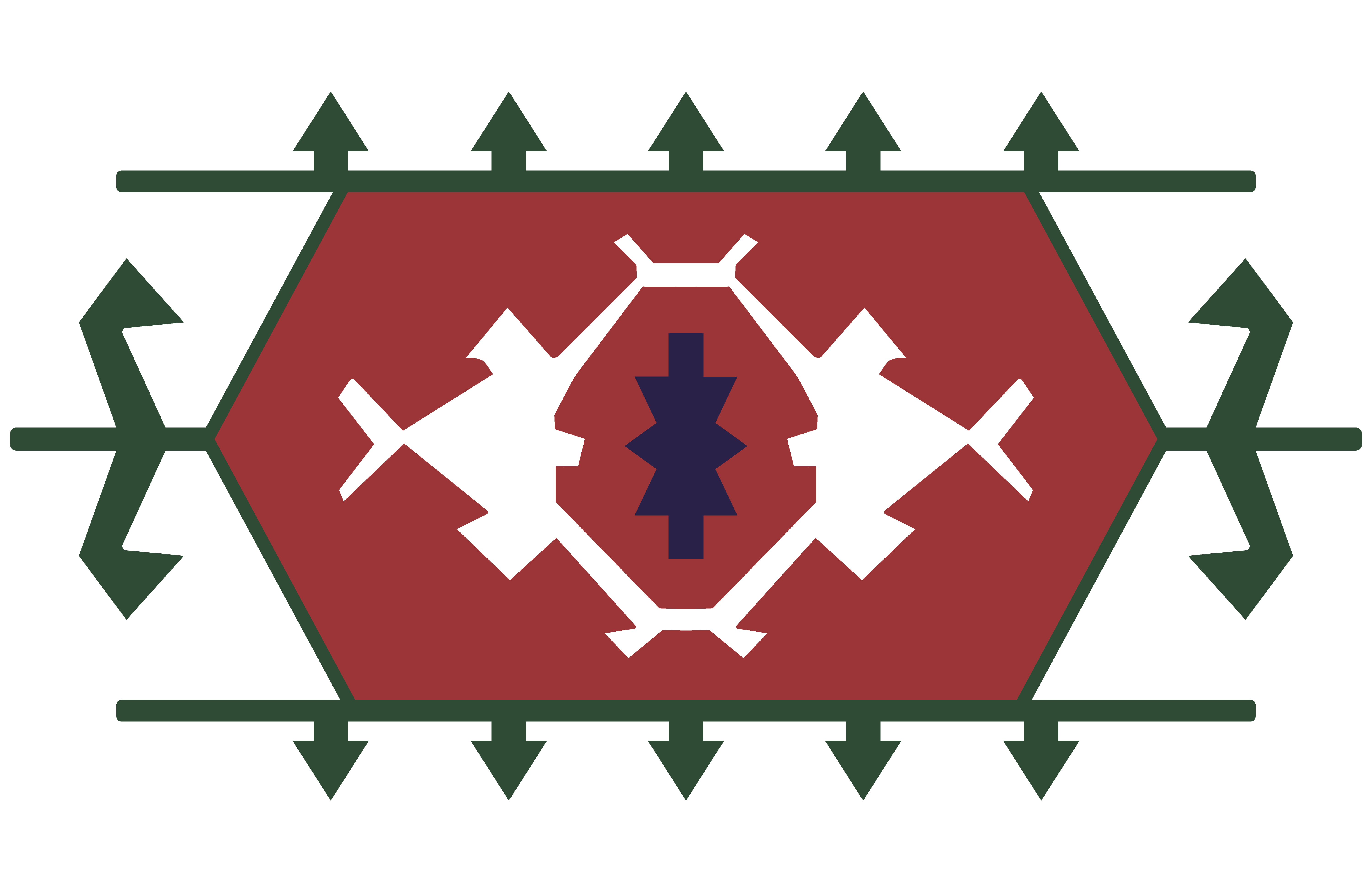 Andkhuy Rugs